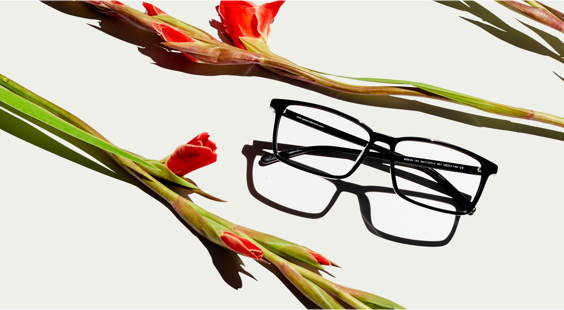 Nous conquérons le marché de l'optique avec nos lunettes à un prix complet